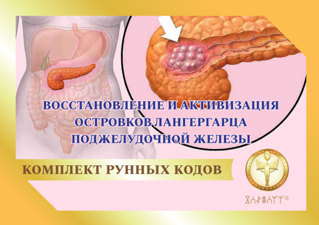 Восстановление и активизация островков Лангергарца поджелудочной железы 1872 - фото 5369