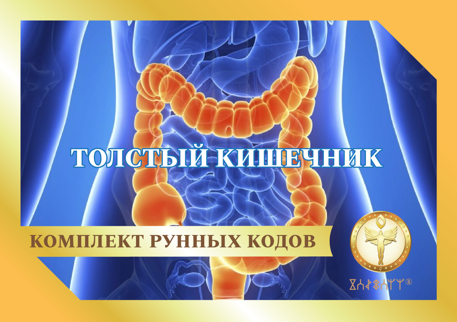 Толстый кишечник 1876 - фото 5373