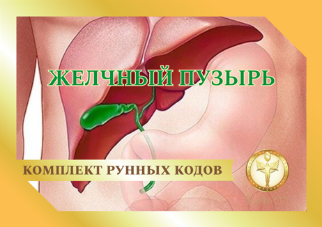 Желчный пузырь 1879 - фото 5376