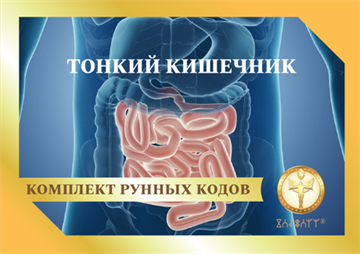Тонкий кишечник 1875