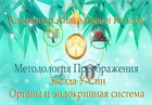 15. Звезда У-СИН и эндокринная система Видеосеминар  Козлов А.А. 44115 - фото 4697