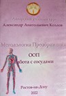 14. ООП. «Сердечно-сосудистая система. Сосуды» Сборник Видеосеминаров  Козлов А.А. 44114 - фото 5343